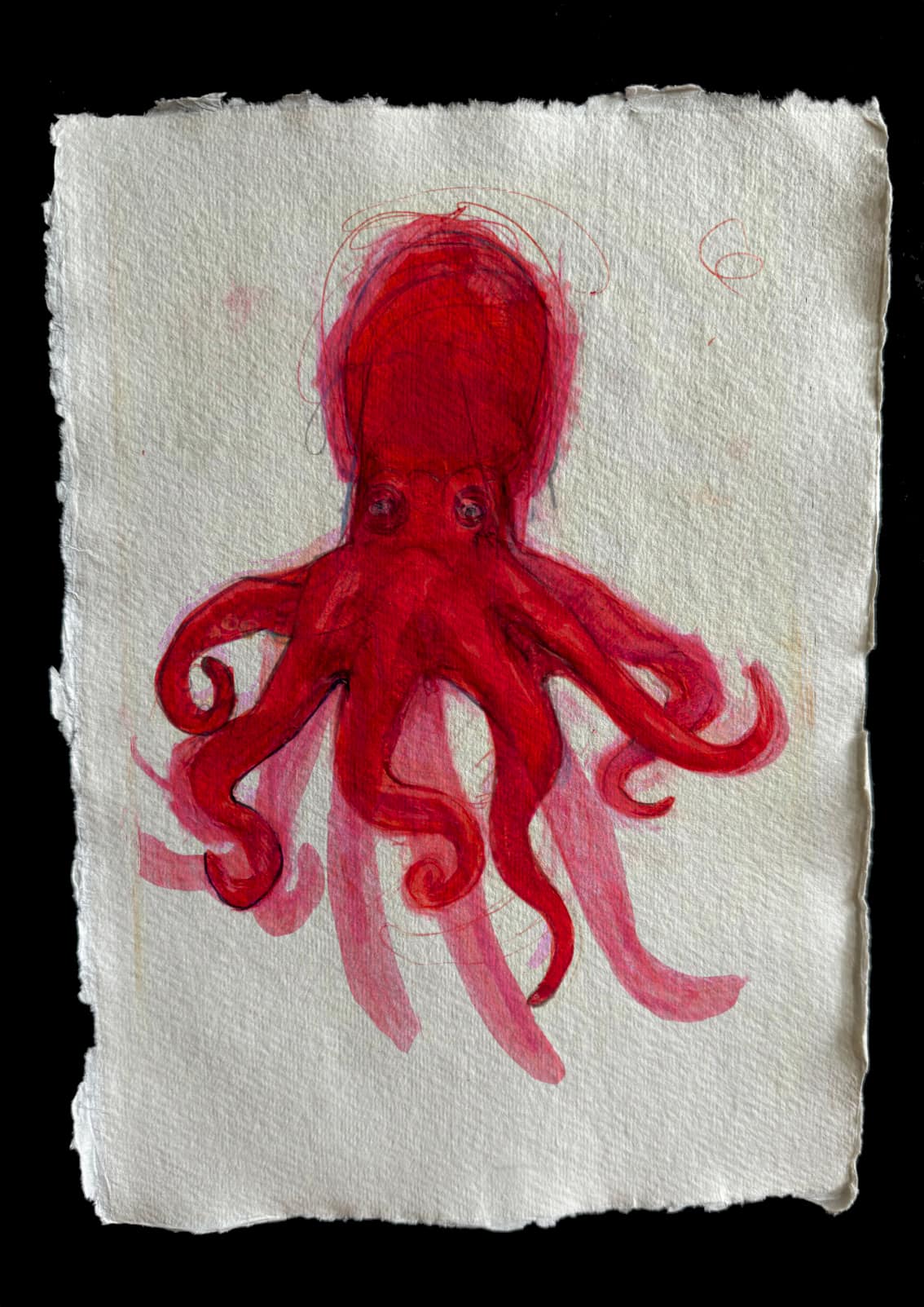 Red Octopus